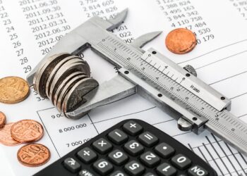 Legea bugetului de stat pe 2025, publicată în Monitorul Oficial 