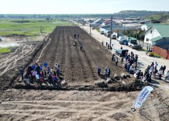 (GALERIE FOTO) Aproape 150 de voluntari cumpăneni au participat sâmbătă la o acțiune de plantare și ecologizare