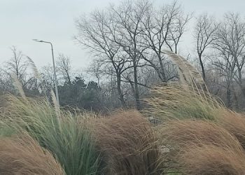 Un nou cod galben de vânt la Constanţa