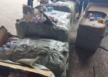 Jucării contrafăcute de peste un sfert de milion de lei, descoperite în Portul Constanța