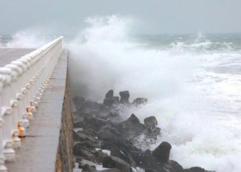 Dobrogea, sub cod galben de vânt 