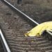 O femeie și-a pierdut viața după ce a fost lovită de tren la Poarta 6
