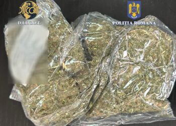 9 suspecți, între care 3 minori, încătușați pentru trafic de droguri de risc la Tulcea 