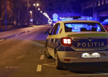 Un tir încărcat cu porci s-a răsturnat la Ovidiu