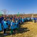 7.300 arbori și arbuști au fost plantați sâmbătă, pe o suprafață de  7.500mp, în cel mai amplu eveniment de plantare din Năvodari