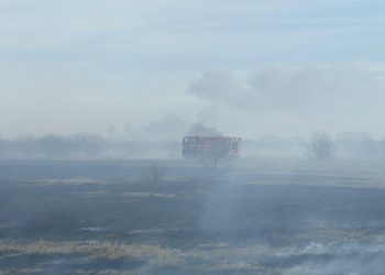 Incendiu de vegetație în Delta Dunării – Intervenție contracronometru pentru a salva clădirile din apropiere