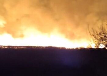 Incendiu lichidat la Aliman. Șase ore s-au luptat pompierii cu flăcările