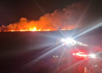 Delta Dunării, în flăcări: 50 de hectare de vegetație și stuf, mistuite de incendii provocate intenționat